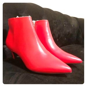 Circus by Sam Edelman booties